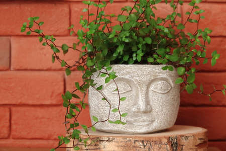 Boho style. Head-shaped flowerpot.の写真素材