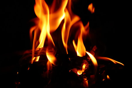 The orange flames of the campfire.