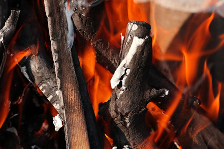 The red-orange flames of the campfire.
