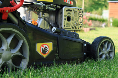 mowing the lawn in the garden with a petrol lawn mower
