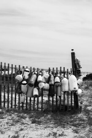 Black and white photo of a float hanging on a fence by the beach dunes.の写真素材