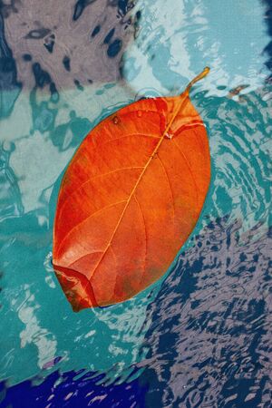 An orange leaf floating on the water, where there are blue tiles at the bottom.の写真素材