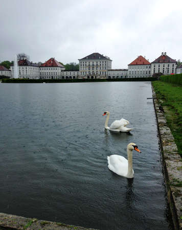 swans in the lake in front of castleの写真素材