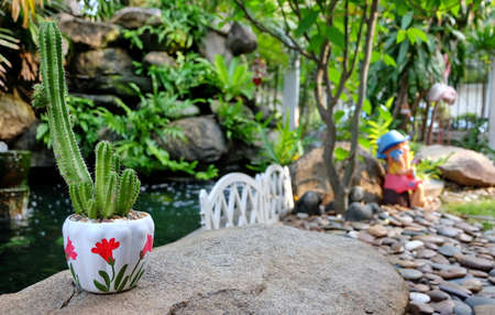 my favorite cactusの写真素材