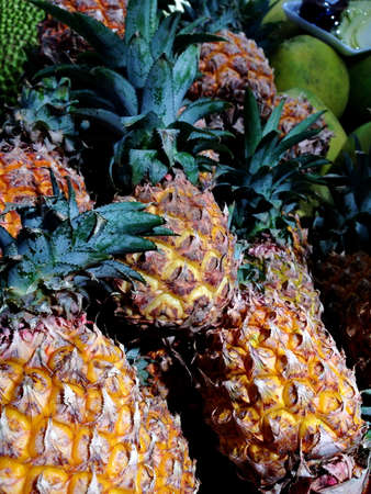 Pineapplesの写真素材