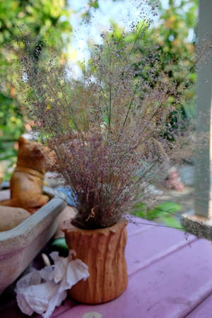 Dry grass flowers in the vaseの写真素材