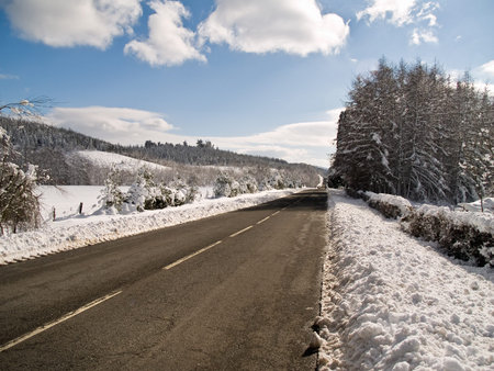 Winter pathの写真素材