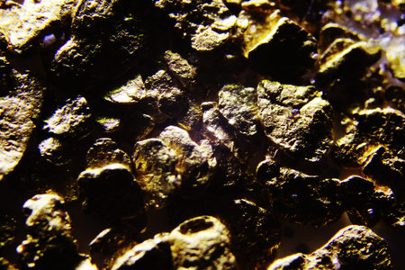 A macro fotos showing the details of golden nuggets