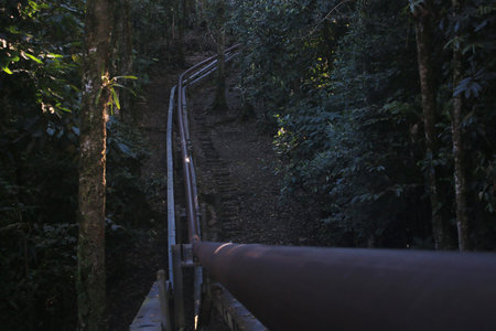 An oil pipe running through the tropical rainforest