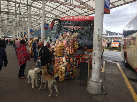 Quito, Ecuador - 14-7-2019: People selling fruits, drinks and candy in front of the leaving busesのeditorial素材