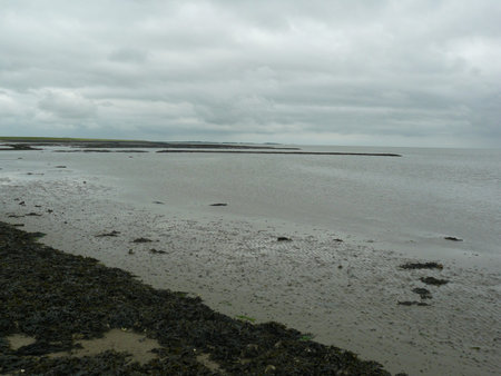 Mud flats on the waddensea with a dark cloud field