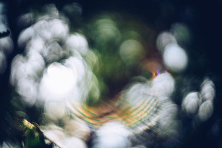 abstract light  bokeh blur color bright in garden