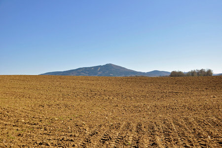 Field against the mountain and the blue sky.の写真素材