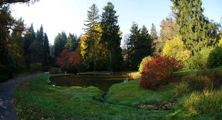 The colors of autumn in the forest park の写真素材