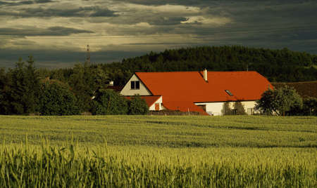 village house in a field of wheat before the stormのeditorial素材