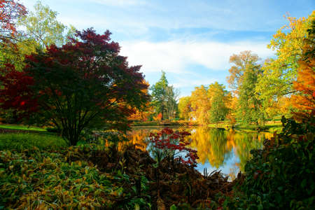 Fall and autumnal beauty of the park の写真素材