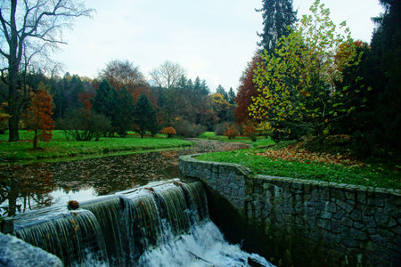 The colors of autumn in the forest parkの写真素材