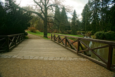 pictures of autumn walks in the parkの写真素材