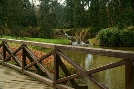 pictures of autumn walks in the parkの写真素材
