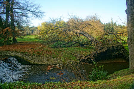 pictures of autumn walks in the parkの写真素材
