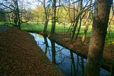 pictures of autumn walks in the parkの写真素材