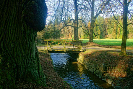 pictures of autumn walks in the parkの写真素材
