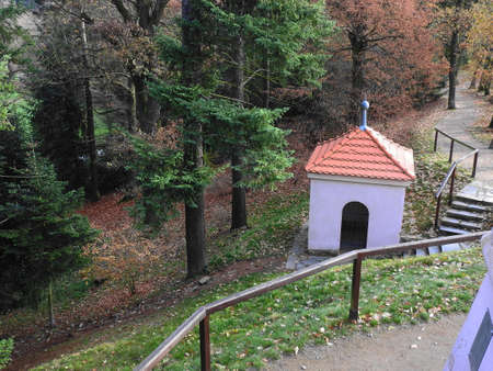 Autumn in the parkの写真素材