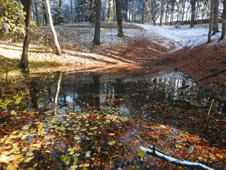 Winter in the Park