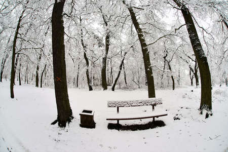 winterの写真素材