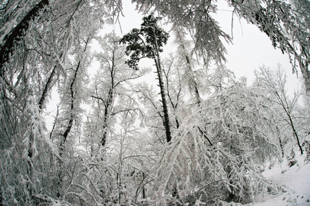 winter