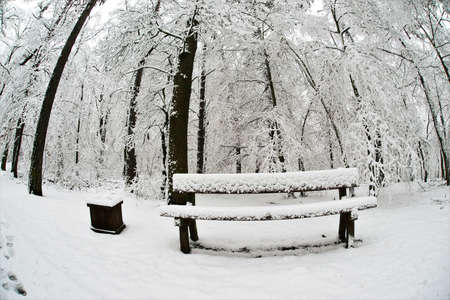 winterの写真素材