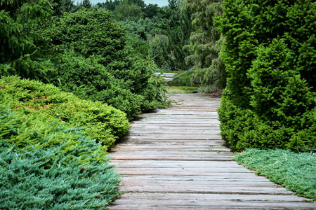 Summer in the Park