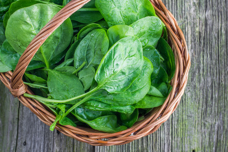 Top View on a Detail on a Fresh Spinach leaves in a wicker basket on Old Wooden Tableの写真素材