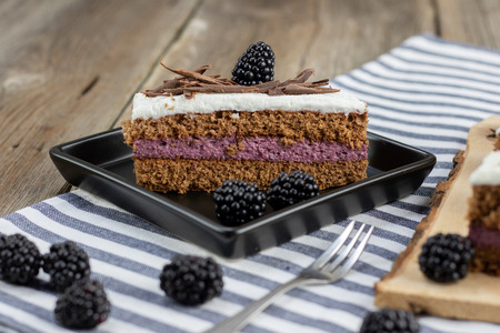 Chocolate blackberry dessert with chocolate shavings on black trayの写真素材