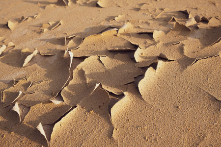 Sun-dried soil. Cracks in the ground.