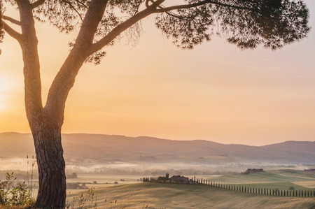 Tuscan house in the hills among the cypressesの写真素材
