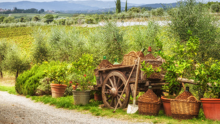 Places around the vineyardsの写真素材