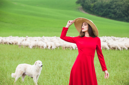 Beautiful woman in a field between the Tuscan sheepの写真素材
