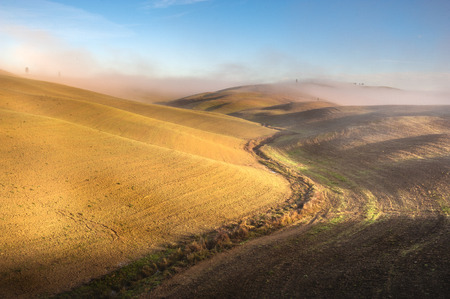 Beautiful mists in rolling fields in Tuscany, Italyの写真素材