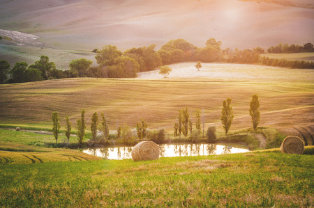 Sunset on Tuscan landscape, Italy.の写真素材