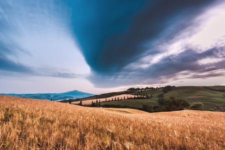 Beautiful field and the atmosphere in the background famous road in Tuscany,の写真素材