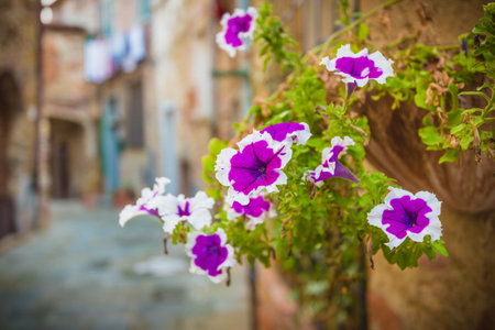 Street and corners of medieval Tuscan town, Lucignano (Arezzo) in Italy in sunny dayの写真素材
