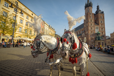 KRAKOW, POLAND - November 13, 2015: Horse carriages at main square in Krakow in a autumn day, Poland on November 13, 2015のeditorial素材
