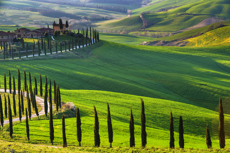 Magical journey fields of Tuscanyの写真素材