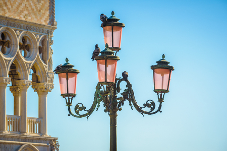 Street lamps in Venice with many pigeons sitting on them with blue sky on the backgroundの写真素材