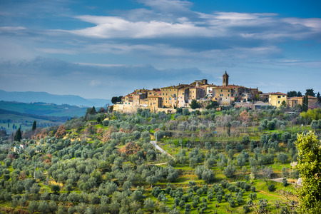 Ancient town on a hill with olive trees, Castelmuzio.の写真素材