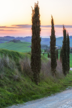 Magical journey fields of Tuscanyの写真素材