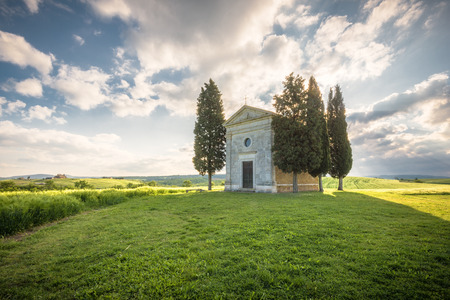 Spring grain ears with storm clouds in the background.の写真素材