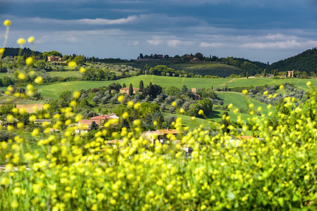 Tuscan spring magical landscape.の写真素材