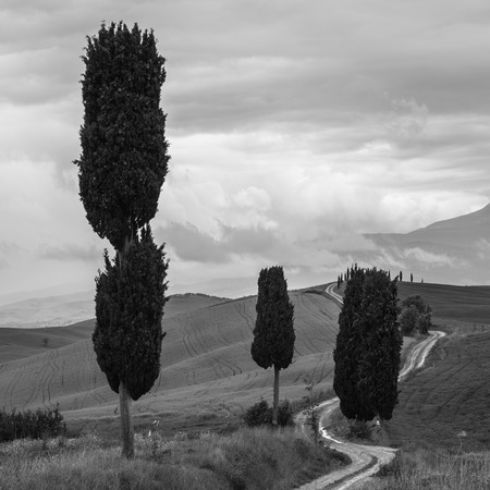 Beautifully shaped roads and fields in the landscape.の写真素材